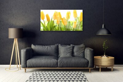 Glass Wall Art Tulips floral yellow green