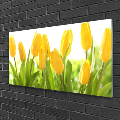 Glass Wall Art Tulips floral yellow green