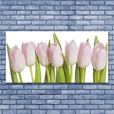 Glass Wall Art Tulips floral pink green