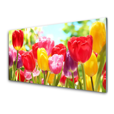 Glass Wall Art Tulips floral red yellow