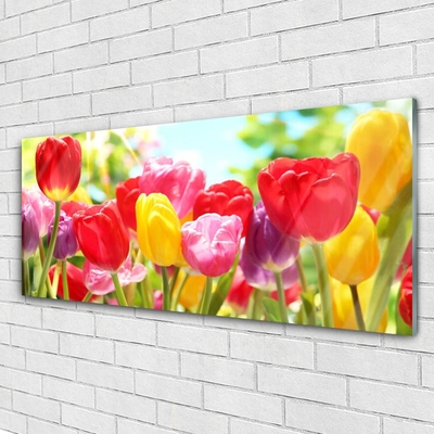 Glass Wall Art Tulips floral red yellow