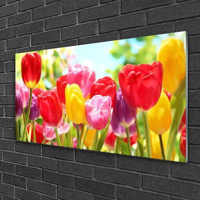 Glass Wall Art Tulips floral red yellow