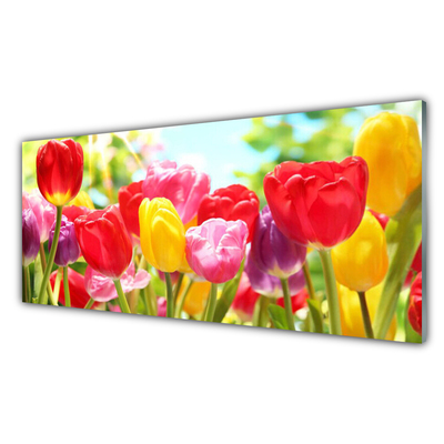 Glass Wall Art Tulips floral red yellow