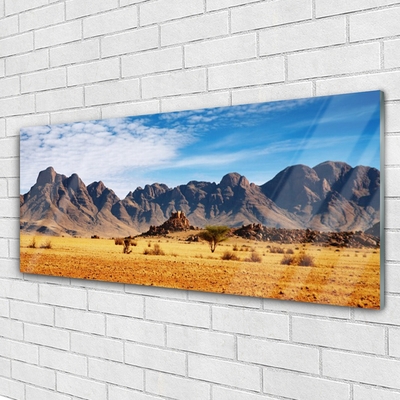 Glass Wall Art Desert landscape yellow brown