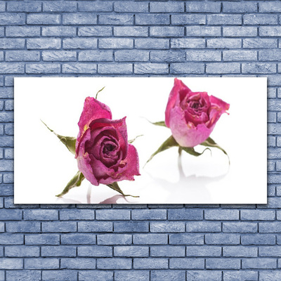 Glass Wall Art Roses floral red green