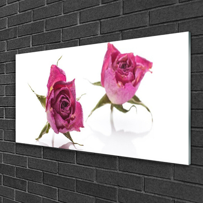 Glass Wall Art Roses floral red green