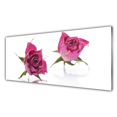 Glass Wall Art Roses floral red green