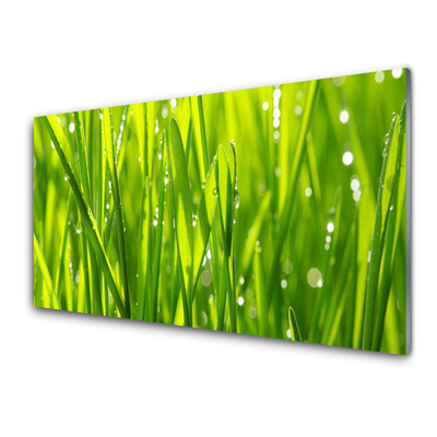 Glass Wall Art Grass nature green