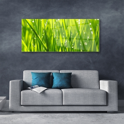 Glass Wall Art Grass nature green