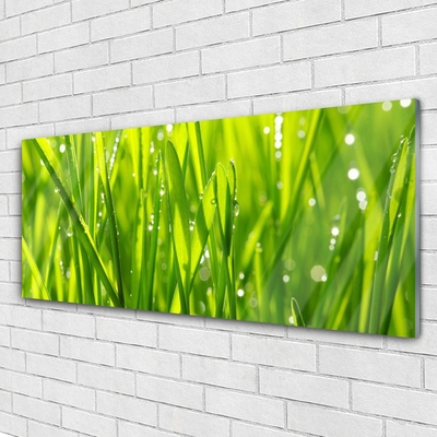 Glass Wall Art Grass nature green