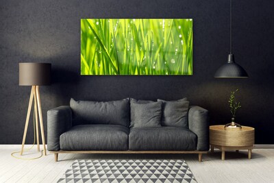 Glass Wall Art Grass nature green