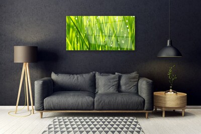 Glass Wall Art Grass nature green