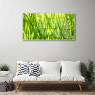 Glass Wall Art Grass nature green