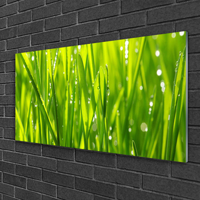 Glass Wall Art Grass nature green