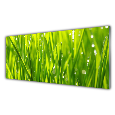 Glass Wall Art Grass nature green