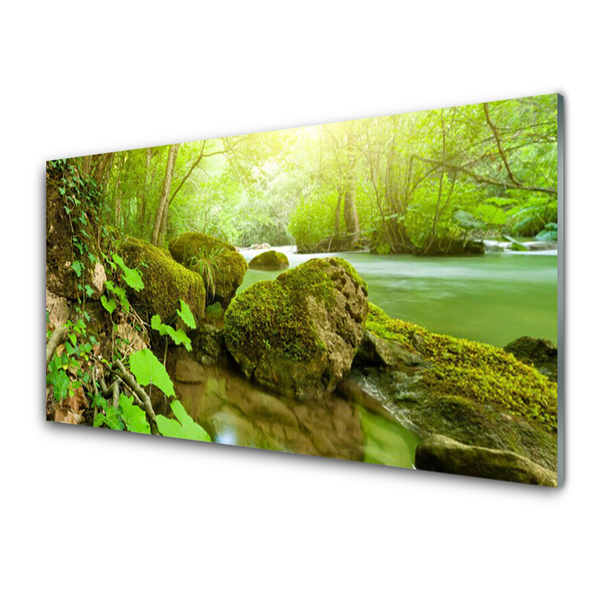 Glass Wall Art Lake stones nature green