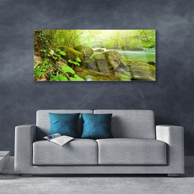 Glass Wall Art Lake stones nature green