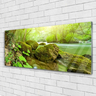 Glass Wall Art Lake stones nature green