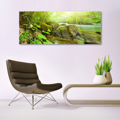 Glass Wall Art Lake stones nature green