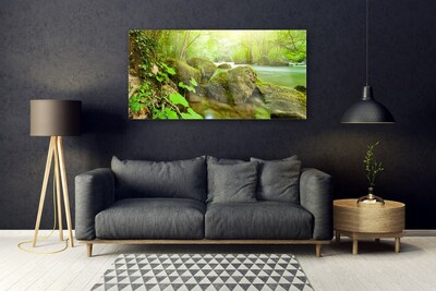 Glass Wall Art Lake stones nature green