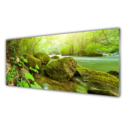 Glass Wall Art Lake stones nature green