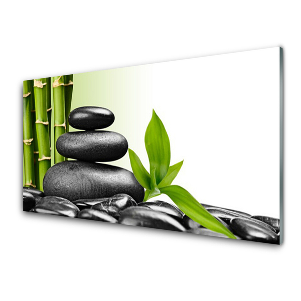 Glass Wall Art Bamboo stalks stones art green black