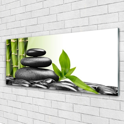 Glass Wall Art Bamboo stalks stones art green black