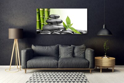 Glass Wall Art Bamboo stalks stones art green black