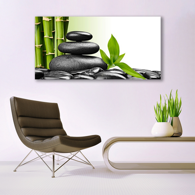 Glass Wall Art Bamboo stalks stones art green black