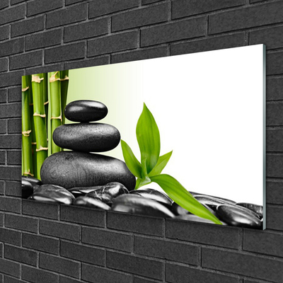 Glass Wall Art Bamboo stalks stones art green black