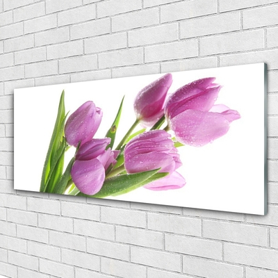 Glass Wall Art Tulips floral pink green