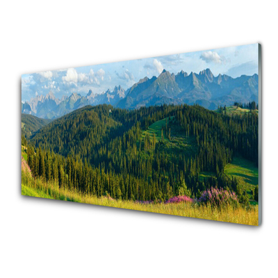 Glass Wall Art Mountain forest nature green