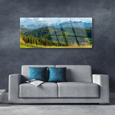 Glass Wall Art Mountain forest nature green