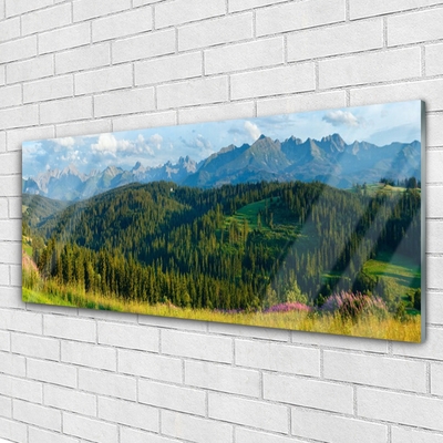 Glass Wall Art Mountain forest nature green