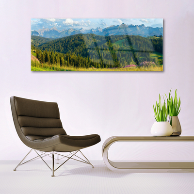 Glass Wall Art Mountain forest nature green