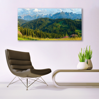 Glass Wall Art Mountain forest nature green