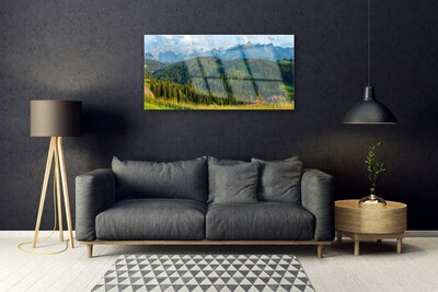 Glass Wall Art Mountain forest nature green