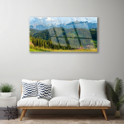 Glass Wall Art Mountain forest nature green