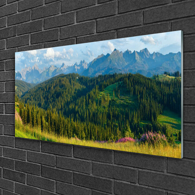 Glass Wall Art Mountain forest nature green