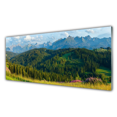 Glass Wall Art Mountain forest nature green