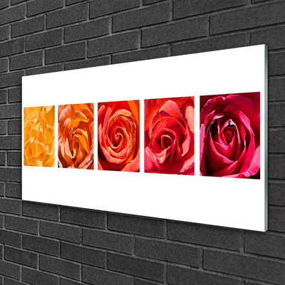Glass Wall Art Roses floral yellow orange red