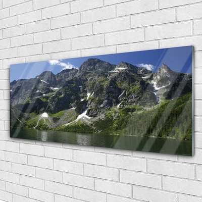 Glass Wall Art Mountains lake forest landscape green grey