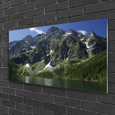 Glass Wall Art Mountains lake forest landscape green grey