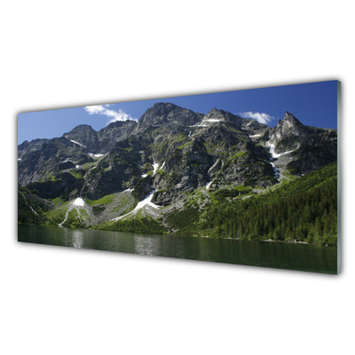 Glass Wall Art Mountains lake forest landscape green grey