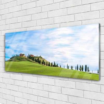 Glass Wall Art Meadow trees landscape green