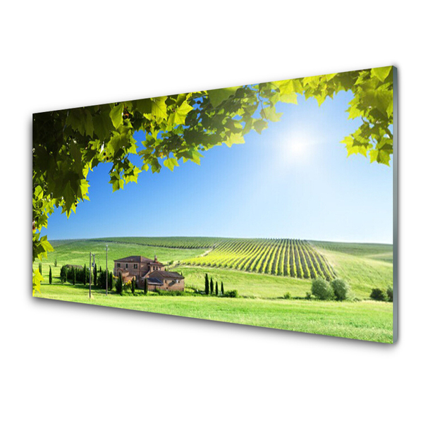 Glass Wall Art Field leaves landscape green brown