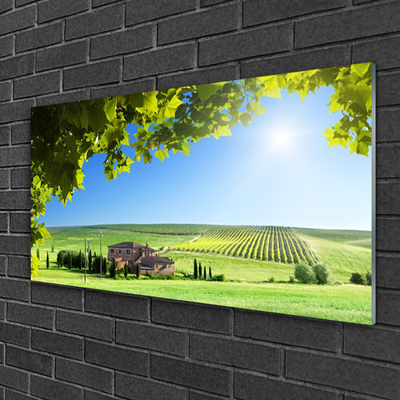 Glass Wall Art Field leaves landscape green brown