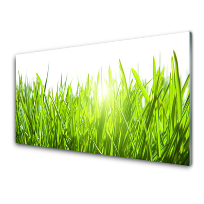 Glass Wall Art Grass nature green