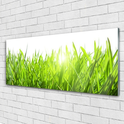 Glass Wall Art Grass nature green