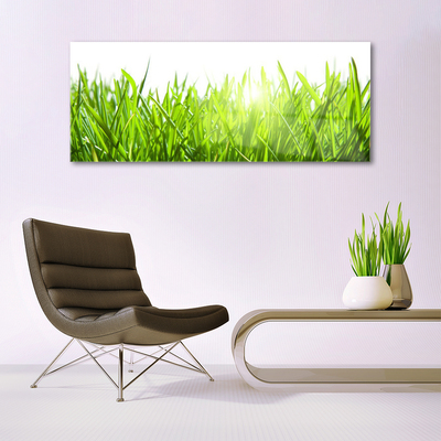 Glass Wall Art Grass nature green